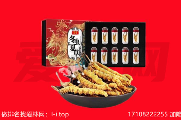 重庆市永川回收虫草.jpg
